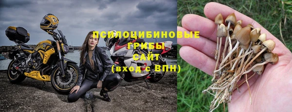 mdpv Костерёво