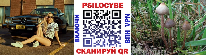 KRAKEN зеркало  Елабуга  Псилоцибиновые грибы Cubensis 