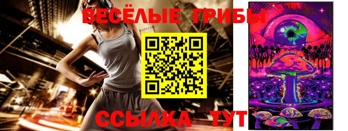 Елабуга  Галлюциногенные грибы Cubensis  Вход с VPN  Галлюциногенные грибы MAGIC MUSHROOMS 