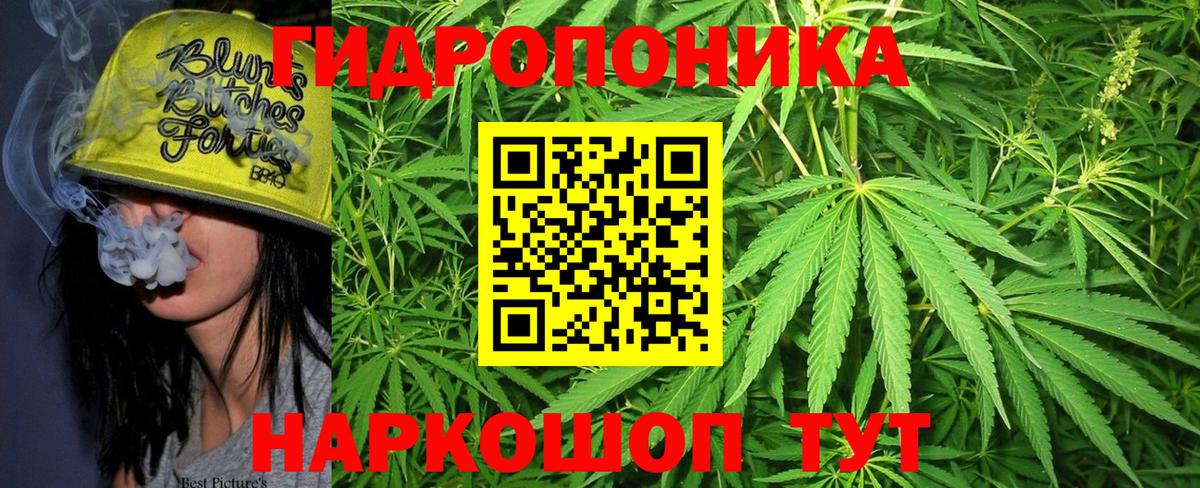Канабис план Елабуга